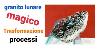 Lordinato processo di trasformazione del magico granito lunare cresce come fiori uno ad uno1 [upl. by Reidar]