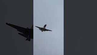 Cessna 560XL Citation XLS landing at SAN [upl. by Schmitt]