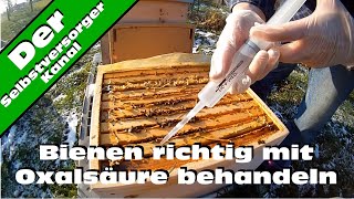 Bienen richtig mit Oxalsaeure gegen Varroamilben behandeln [upl. by Siderf772]