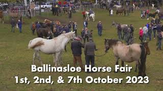 Ballinasloe October Fair 2023  Horse Fair [upl. by Charie]