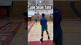 Corner 3s 🏀 right  left footwork options  Jae’Sean Tate basketball nba houstonrockets liftoff [upl. by Adyela67]