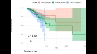 Survival Analysis  Survival Model  Data Science  KaplanMeier  Logrank Test  Cancer Analysis [upl. by Zephan]