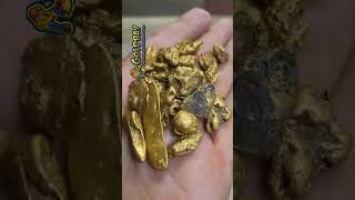 Yukon Gold Nuggets  Tips for Metal Detecting shortsvideo shorts [upl. by Fabyola]