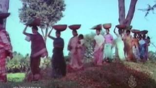 Kannada Hit Songs  Negila Hididu From Beladingalagi Baa [upl. by Marcelia]