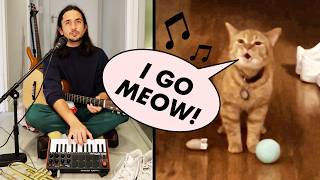 The Kiffness x Cala  I Go Meow Singing Cat [upl. by Anits]