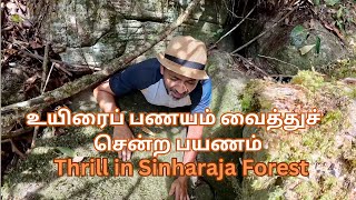 உயிரைப் பணயம் வைத்துச் சென்ற பயணம் 😳🔥 Sinharaja Forest Adventure Tour 🇱🇰 [upl. by Eusebio670]