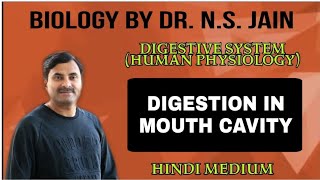 Digestion in Mouth Cavity Digestive System Human Physiology  Hindi Medium [upl. by Hadeehuat676]