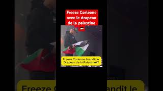 Freeze Corleone brandit le drapeau de la Palestine 🇵🇸 ardentes freezecorleone 667 palestine [upl. by Neau]