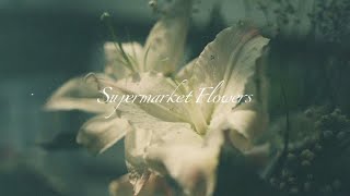 lyrics Supermarket Flowers  Ed Sheeran [upl. by Narda]