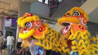 六巡三合庙龙狮团 LiuXun Lion Dance Cai Qing Performance at Blk 105 Hainanese Village Centre 28 Jan 2023 [upl. by Arocal]