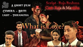 What is Loveअननाया माOnnaia MaA Short movie 2024Raja Brahma amp Manisha Muchahary love [upl. by Hoehne]