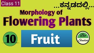 Class 11 ಕನ್ನಡದಲ್ಲಿ  Morphology of Flowering Plants  10  Fruit [upl. by Zohar485]