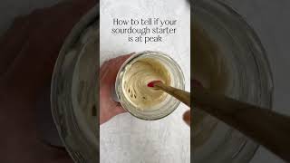 How To Tell If Sourdough Starter Is At Peak bakingbasics sourdoughstarter breadrecipe homemade [upl. by Ohare]