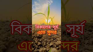 কুন মুসলমান জানে না পাঁচ ওয়াক্ত নামাজ ফরোজ 👳 Kaun musalman Janina pasoktto namaz foroj😢status [upl. by Mccormick]