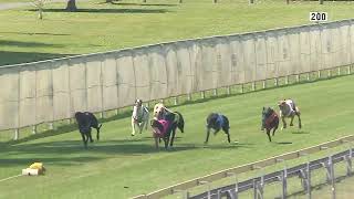 Capalaba22092024Race1 [upl. by Nnairam]