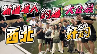 【釣蝦】新加坡人體驗台灣大公蝦｜西北好釣｜釣公蝦宜蘭釣蝦場泰國蝦 太平洋釣蝦場蝦之城釣蝦場台湾のエビ釣shrimpfishing [upl. by Maia]