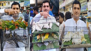 Birds Market Lalukhet Sunday Video Latest Update 28124 in Urdu [upl. by Haibot770]