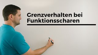 Grenzverhalten bei Funktionsscharen Parameterfunktionen Fallunterscheidung  Mathe by Daniel Jung [upl. by Pietrek]