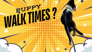 Avoid these common mistakes with puppy walk times [upl. by Ibok]