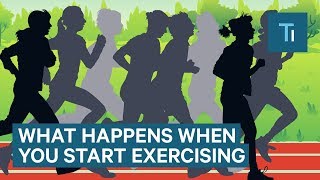 What Happens To Your Body When You Start Exercising Regularly  The Human Body [upl. by Kimmi331]