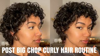 CURLY HAIR ROUTINE  POST BIG CHOP 3A [upl. by Akcirahs]