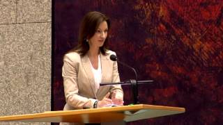 Lilian Helder  Beperken taakstraf ernstige zeden en geweldsmisdrijven 2011 [upl. by Kcirded]