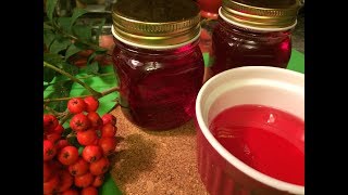 Dogberry Jelly  Traditional Newfoundland  Bonitas Kitchen [upl. by Sidoney311]