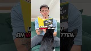 Katzenhandbuch Teil 1 katze comey vlog [upl. by Merriman]