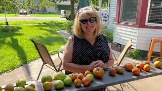 Andrea Cans and Picks A LOT of Tomatoes [upl. by French425]