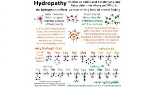 Protein quotmutantquot terms amp nomenclature  how we not technicallycorrectly talk about altered proteins [upl. by Ellata514]