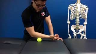 Épicondylite  Tennis Elbow  Mobilisations avec Balle [upl. by Sigler]