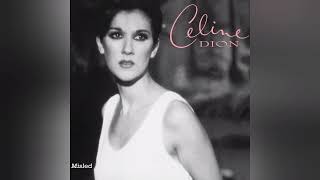 Celine Dion  Misled Richie Jones Remix M4A [upl. by Urata]