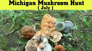 Michigan Mushroom Hunt  Mushrooms That Can Be Harvested In July [upl. by Ecyac]