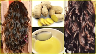 Homemade Ginger Hair Oil For Extreme Hair Growth Hair Loss │DIY GINGER HAIR MASK SILKY SHINY HAIR [upl. by Elleimac776]