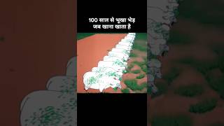 100 साल से भूखा भेड़ जब खाना खाता है 😂। Funny cartoon funny explanation memes [upl. by Duwe154]