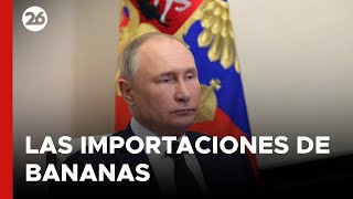 Llegó el castigo de Putin a Ecuador por quotapoyar a Ucraniaquot [upl. by Eylhsa916]