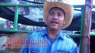 JARIPEO A LAS 9 DE LA MAÑANA EN TEJALPA PUEBLA quotLOS TOROS DIVINOSquot [upl. by Oivat]