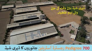 Commercial Dairy Farm Design  Dairy shed design in Pakistan  Low Cost Shed for animals [upl. by Eelyme535]