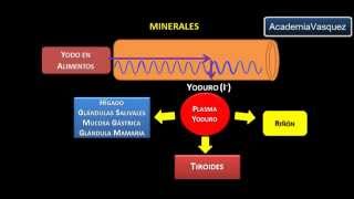 Minerales Yodo [upl. by Ffej]