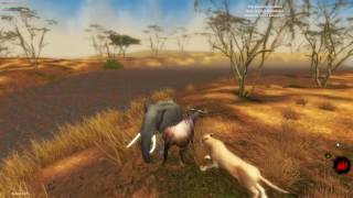 LIF gameplay Animal Simulation 2 [upl. by Sheng]