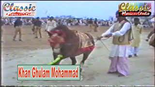 Khan Ghulam Muhammad Pathan Shah Swar Pakistan Horse Dance 19907 [upl. by Dene]