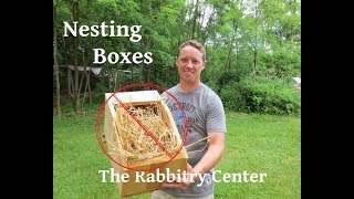 Stop Using Nesting BoxesRabbitsPart 1 [upl. by Kutzer]