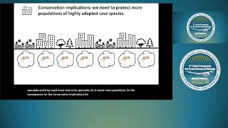 July 30th  The Completion of Speciation Coupling Persistence and the Micro Macro Link pt2 [upl. by Yroffej]