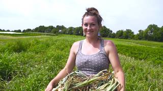 Soil Sister Lauren Farms Barefoot [upl. by Delmar]