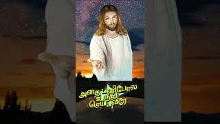 thai pola thetri trending short shortsfeed shortvideo song berchmans jesus whatsapp tamil [upl. by Jeritah]