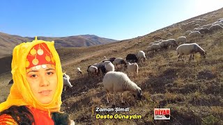 Deste Günaydın  Zaman Şimdi  Çok Dertli Duygulu Türkü Köy Manzaralı Video [upl. by Aural]