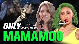 MAMAMOO마마무 at 2019 MAMA All Moments [upl. by Refenej]