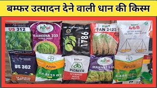 बरसात के लिए हाइब्रिड धान  Top10 Hybrid Rice Varietys  अधिक उत्पादन वाली धान की किस्म [upl. by Ardena950]