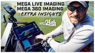 Combine MEGA 360 and MEGA Live for More Insight [upl. by Hedges]