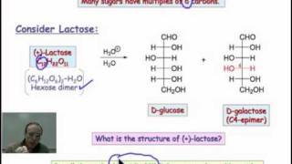 Trick To Draw Structure Of Glucose And Fructose [upl. by Laved]